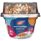 پروماست گرانولا 200 کاله