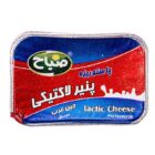 پنیر پاستوریزه لاکتیکی صباح 300 گرمی