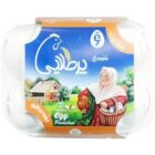 تخم مرغ پرطلایی 9 عددی