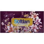 دستمال کاغذی 300طرح بهشت سافتلن