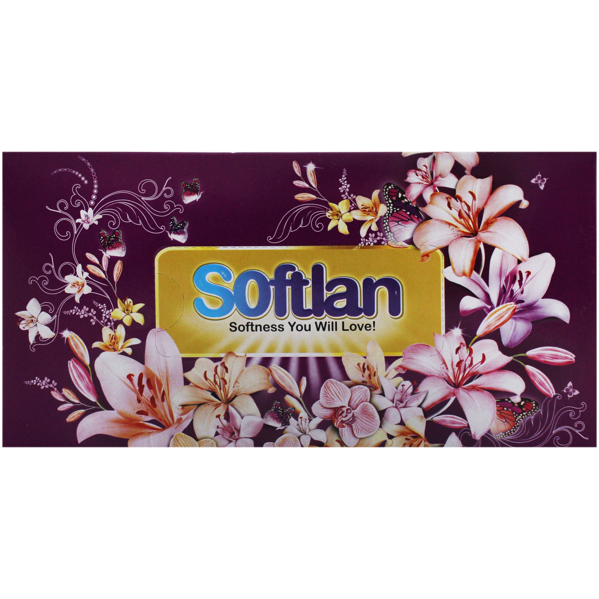 6267604406360 دستمال کاغذی 300طرح بهشت سافتلن - تصویر 1