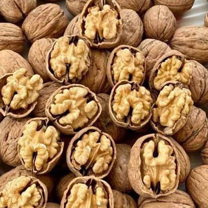 6322062513422_t2 گردو لوکس ایرانی آیریک 305 گرمی - تصویر 1